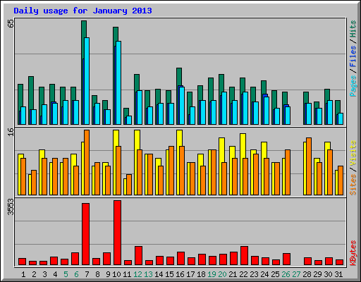Daily usage for January 2013