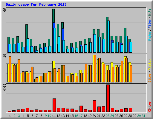 Daily usage for February 2013