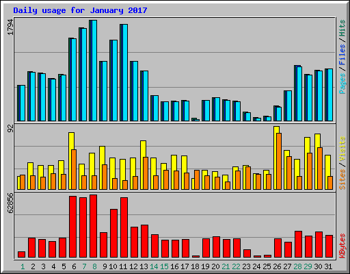 Daily usage for January 2017