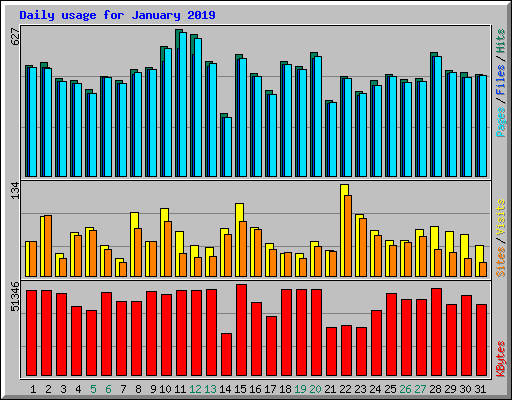 Daily usage for January 2019