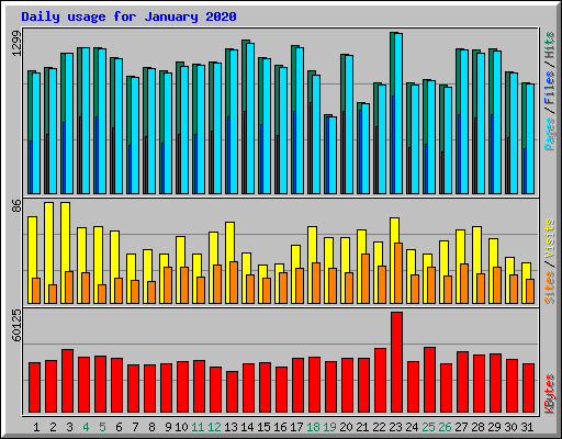 Daily usage for January 2020