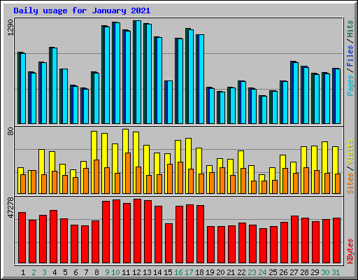 Daily usage for January 2021