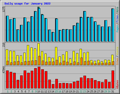 Daily usage for January 2022