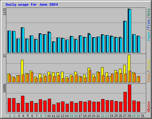 Daily usage for June 2024