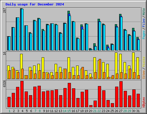 Daily usage for December 2024