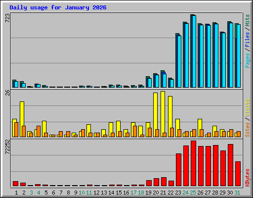 Daily usage for January 2026