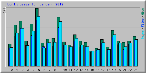 Hourly usage for January 2012