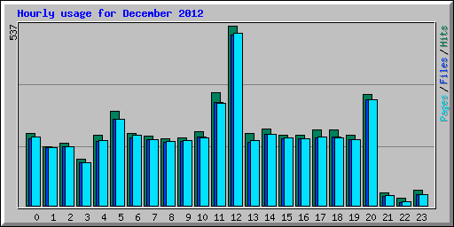 Hourly usage for December 2012
