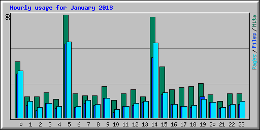 Hourly usage for January 2013