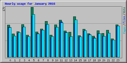 Hourly usage for January 2016
