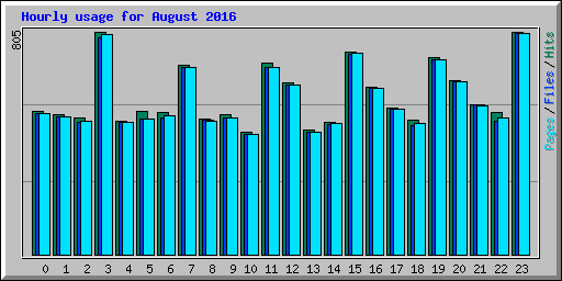 Hourly usage for August 2016