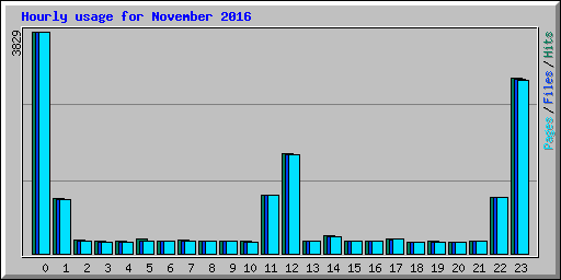 Hourly usage for November 2016