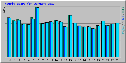 Hourly usage for January 2017