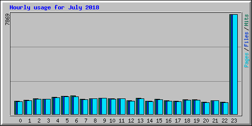 Hourly usage for July 2018