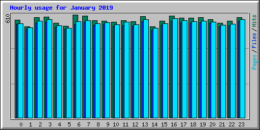 Hourly usage for January 2019