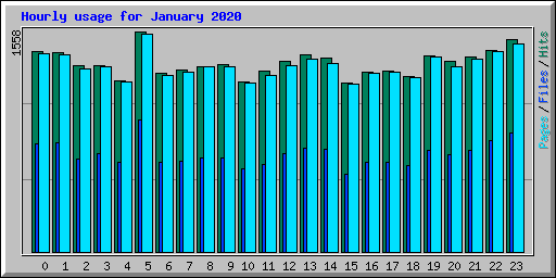 Hourly usage for January 2020