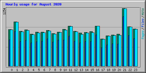 Hourly usage for August 2020