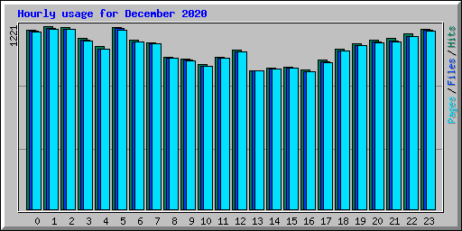Hourly usage for December 2020