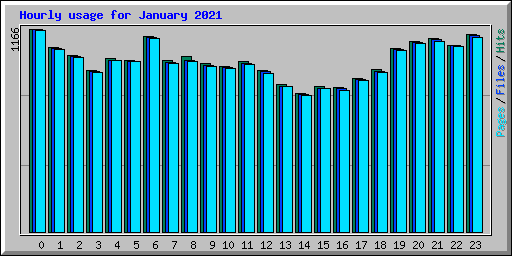 Hourly usage for January 2021