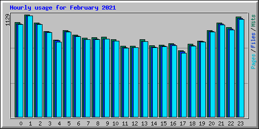 Hourly usage for February 2021