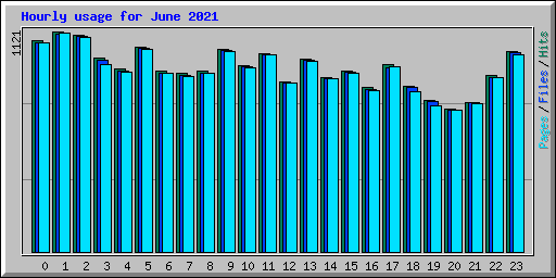 Hourly usage for June 2021