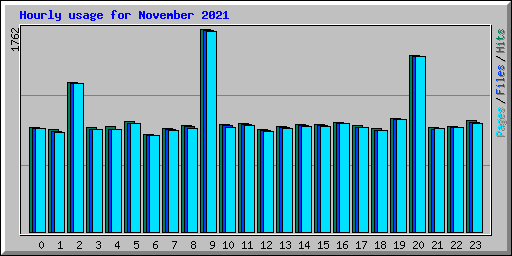 Hourly usage for November 2021