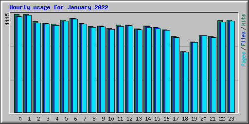 Hourly usage for January 2022