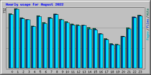 Hourly usage for August 2022