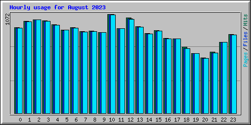 Hourly usage for August 2023