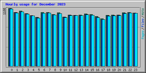 Hourly usage for December 2023