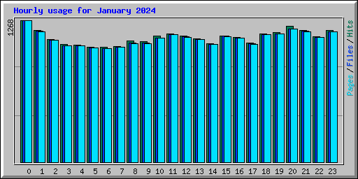 Hourly usage for January 2024