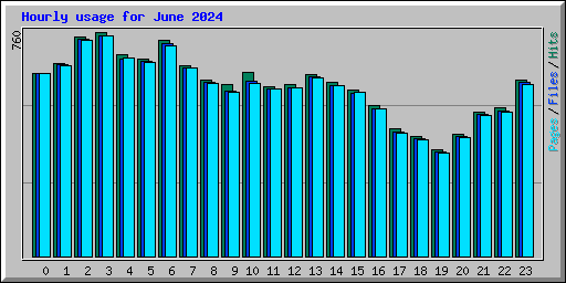 Hourly usage for June 2024