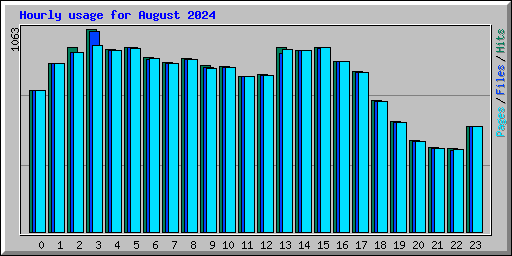 Hourly usage for August 2024