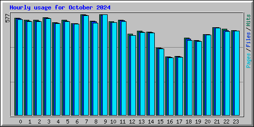 Hourly usage for October 2024