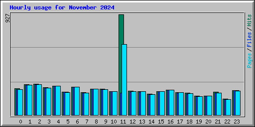 Hourly usage for November 2024