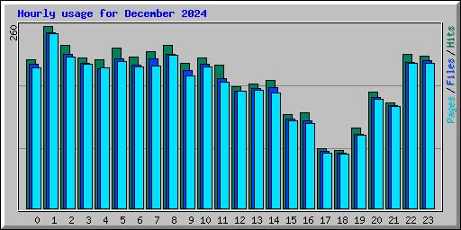 Hourly usage for December 2024