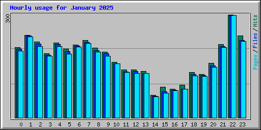 Hourly usage for January 2025