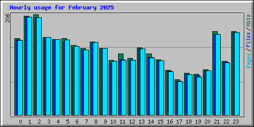 Hourly usage for February 2025