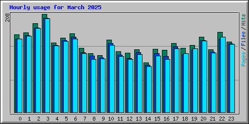 Hourly usage for March 2025