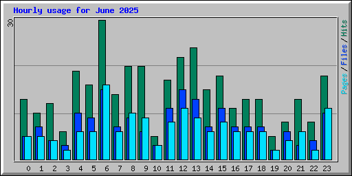 Hourly usage for June 2025