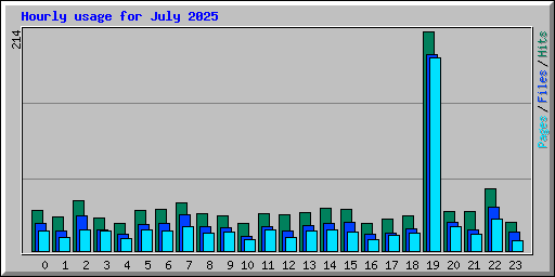 Hourly usage for July 2025