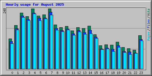 Hourly usage for August 2025