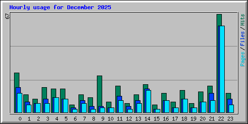 Hourly usage for December 2025