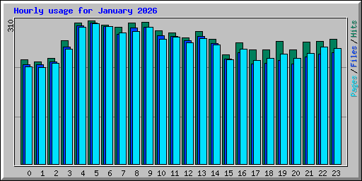 Hourly usage for January 2026