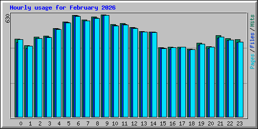 Hourly usage for February 2026